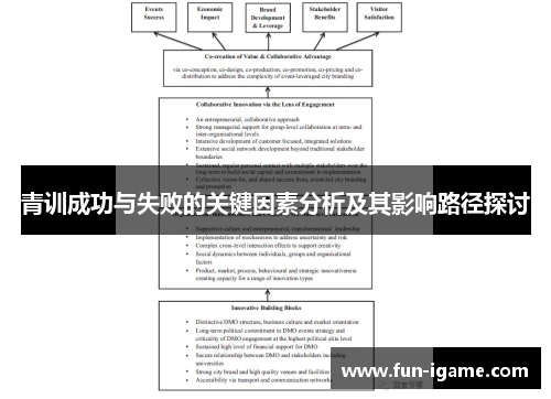 青训成功与失败的关键因素分析及其影响路径探讨