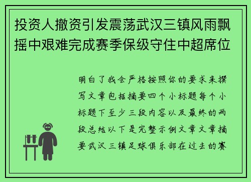 投资人撤资引发震荡武汉三镇风雨飘摇中艰难完成赛季保级守住中超席位